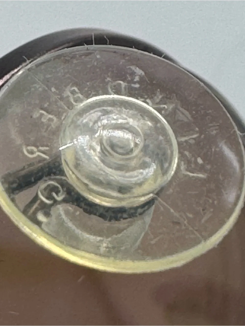 The Unbranded Brand vintage oval